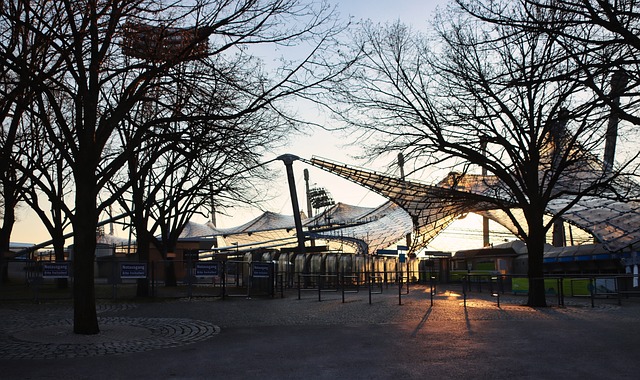 格林的成长 格林的成长