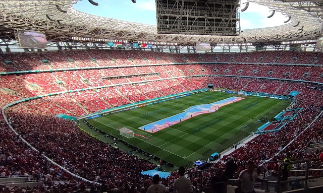 双在面对印 双在面对印