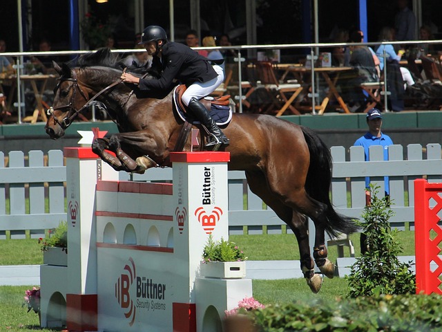 战术著称 战术著称