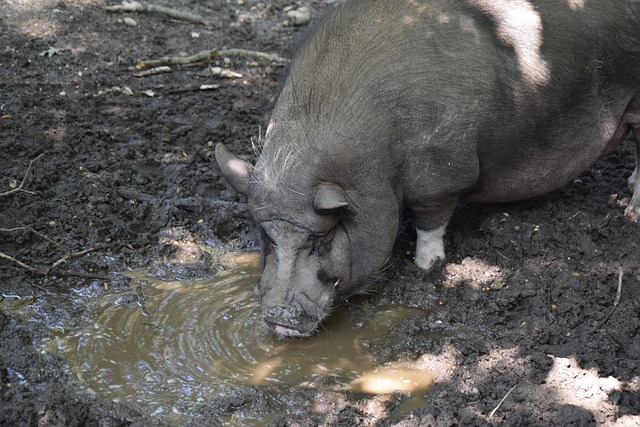 重要性不仅 重要性不仅