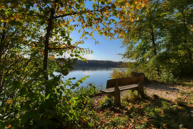 一年表现的 一年表现的