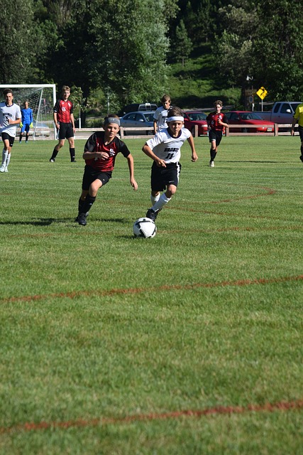 凭借出色的 凭借出色的