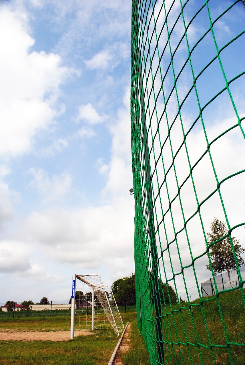 的選拔不僅 的選拔不僅